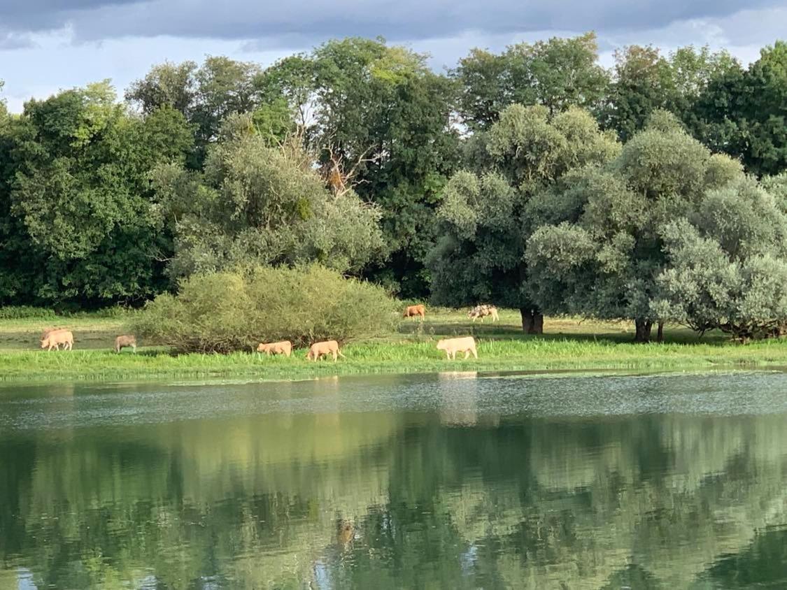 Les Annexes Villa Verdun-sur-le-Doubs Luaran gambar