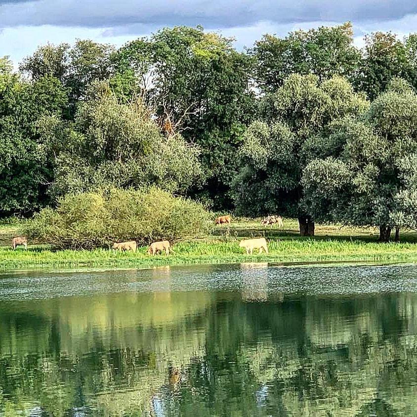 Les Annexes Villa Verdun-sur-le-Doubs Luaran gambar